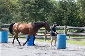 LR-WRF 08022025-Retreat-3320